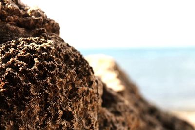 Close-up of rock formation