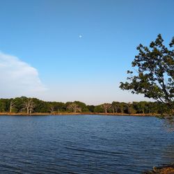 Scenic view of lake against blue sky