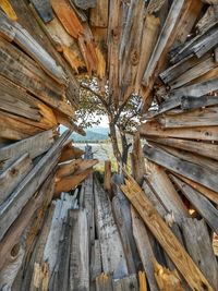 Close-up of wooden planks