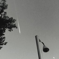 Low angle view of tree against sky