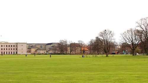 Scenic view of field against clear sky