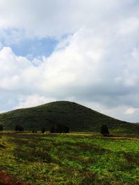 Scenic view of field against sky