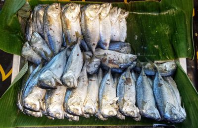 Close-up of fish in market