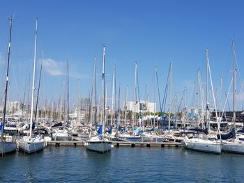 Sailboats moored in harbor