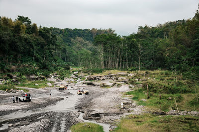 Scenic view of forest against sky