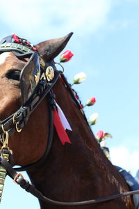 Low angle view of working animal against sky