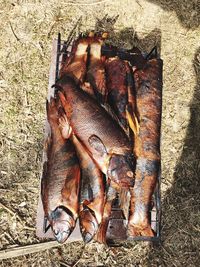 High angle view of fish on barbecue grill