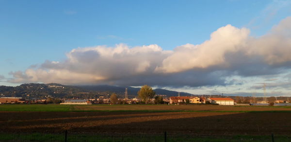 Scenic view of agricultural field against sky