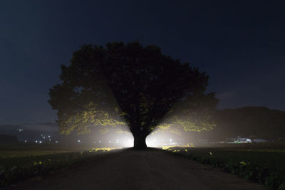 Silhouette trees by illuminated road against sky at night