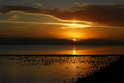 Scenic view of calm lake at sunset