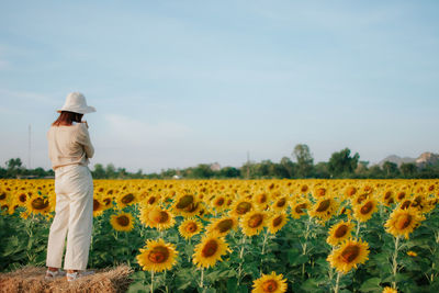 Rear view of person standing on sunflower field