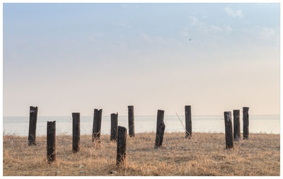 Wooden posts on field against sky