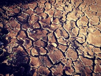 Full frame shot of cracked mud