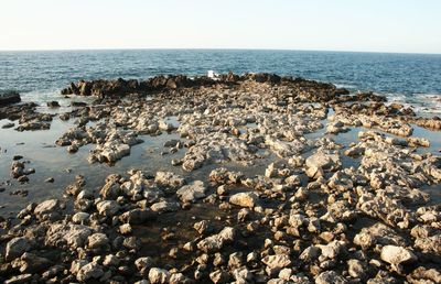 Scenic view of sea against clear sky