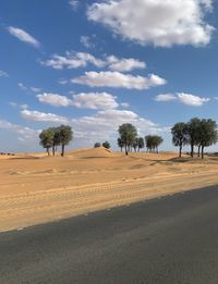 Trees on field against sky