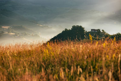 Summer sunrise in the transylvanian village