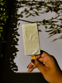 Close-up of hand holding ice cream