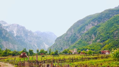 Scenic view of field and mountains against sky