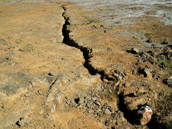 High angle view of rocks on beach