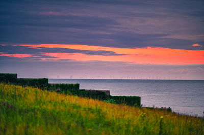 Scenic view of sea against sky during sunset