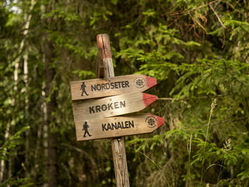 Close-up of information sign on wooden post in forest