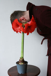 Close-up of flower vase on table against white background