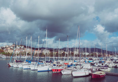 Sailboats moored at harbor against sky