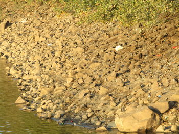 Close-up of water on beach