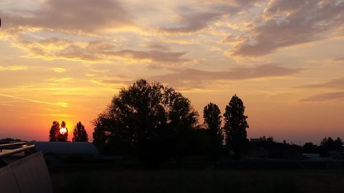 Silhouette trees against orange cloudy sky