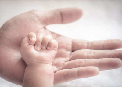 Cropped hands of parent and baby