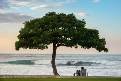 Man on tree by sea against sky