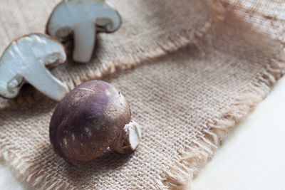 High angle view of mushrooms on burlap