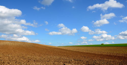 Scenic view of plowed field against sky