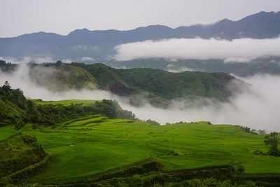 Scenic view of rural landscape