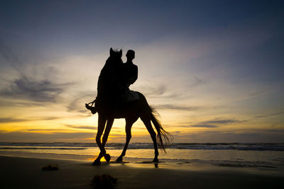 Silhouette man riding horse at beach during sunset