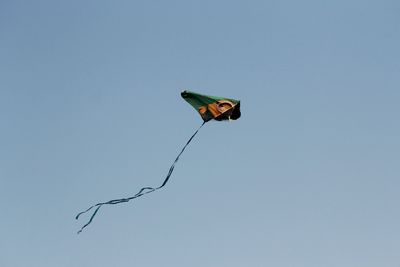 Low angle view of bird against clear blue sky