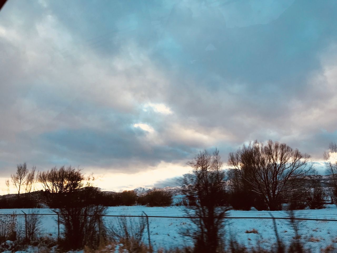 winter, snow, cold temperature, nature, weather, tranquility, beauty in nature, scenics, sky, tranquil scene, cloud - sky, no people, tree, outdoors, bare tree, landscape, day, frozen