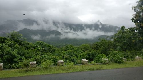 Scenic view of tree mountains against sky