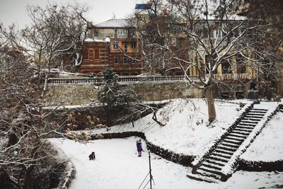 Bare trees against sky