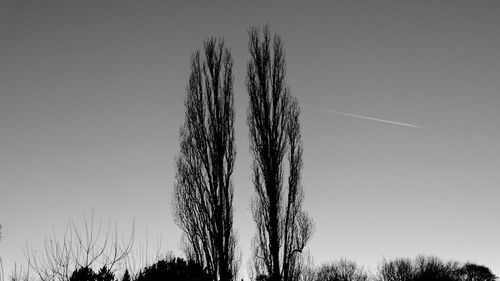 Low angle view of trees against clear sky