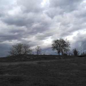 Bare trees on field against sky