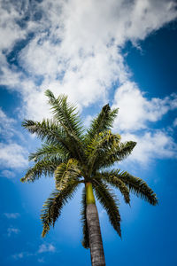 Low angle view of palm tree against cloudy sky