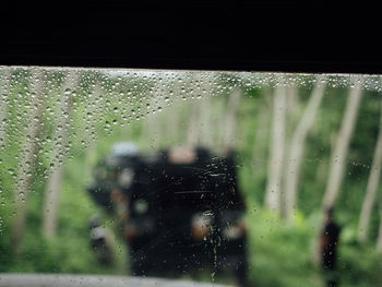 Raindrops on glass window