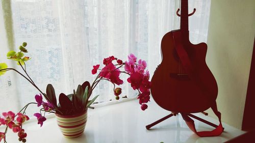 Close-up of potted plant on wall