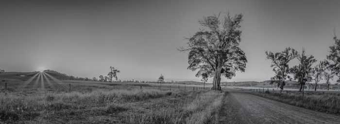 Road amidst field against sky