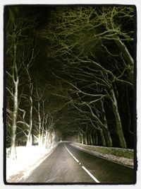 Empty road along bare trees