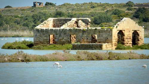 View of a ruined building