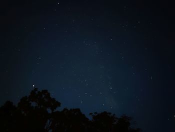 Low angle view of trees against sky at night