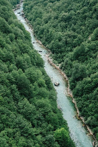 High angle view of stream amidst trees in forest