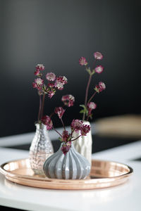 Close-up of purple flower in vase on table